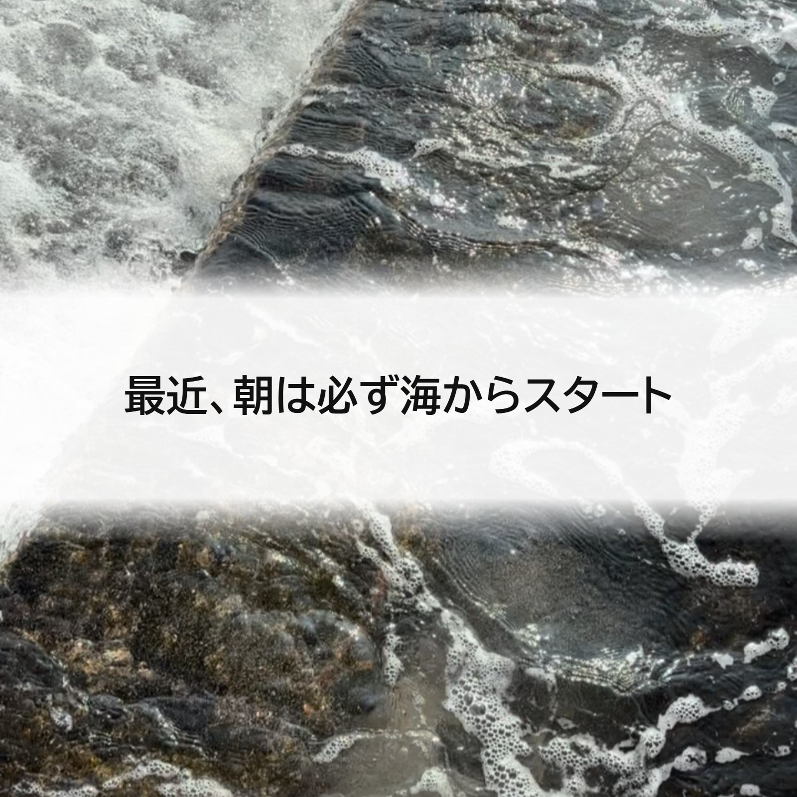 最近、朝は必ず海からスタート