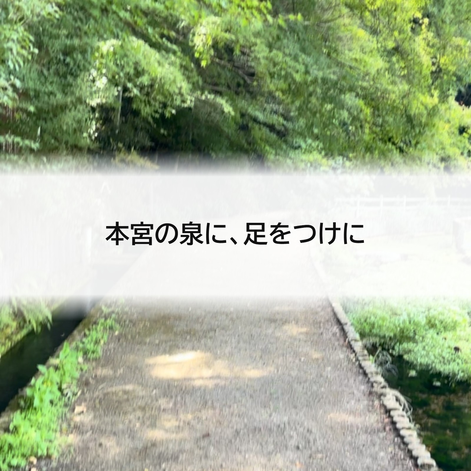 本宮の泉に、足をつけに
