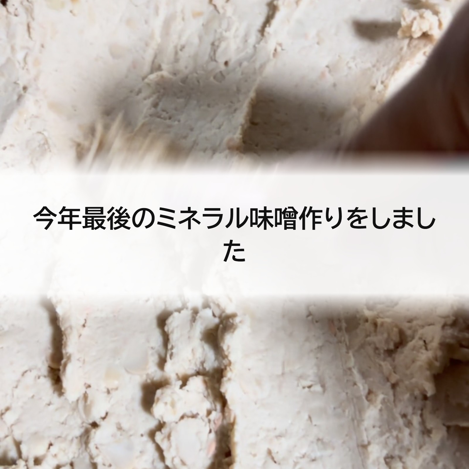 今年最後のミネラル味噌作りをしました